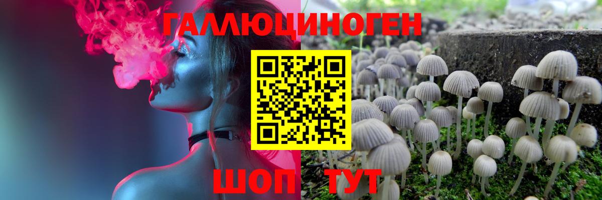 Галлюциногенные грибы Psilocybe Красный Сулин