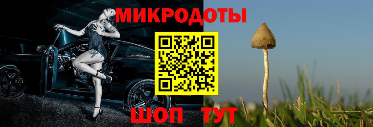 Галлюциногенные грибы Cubensis  где купить наркотик  Красный Сулин  Вход с VPN 